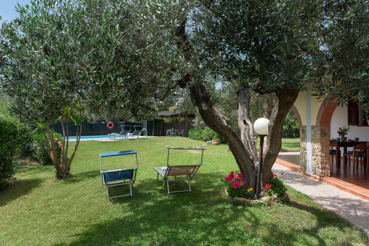 Villa Le Vigne Bibbona Esterno foto