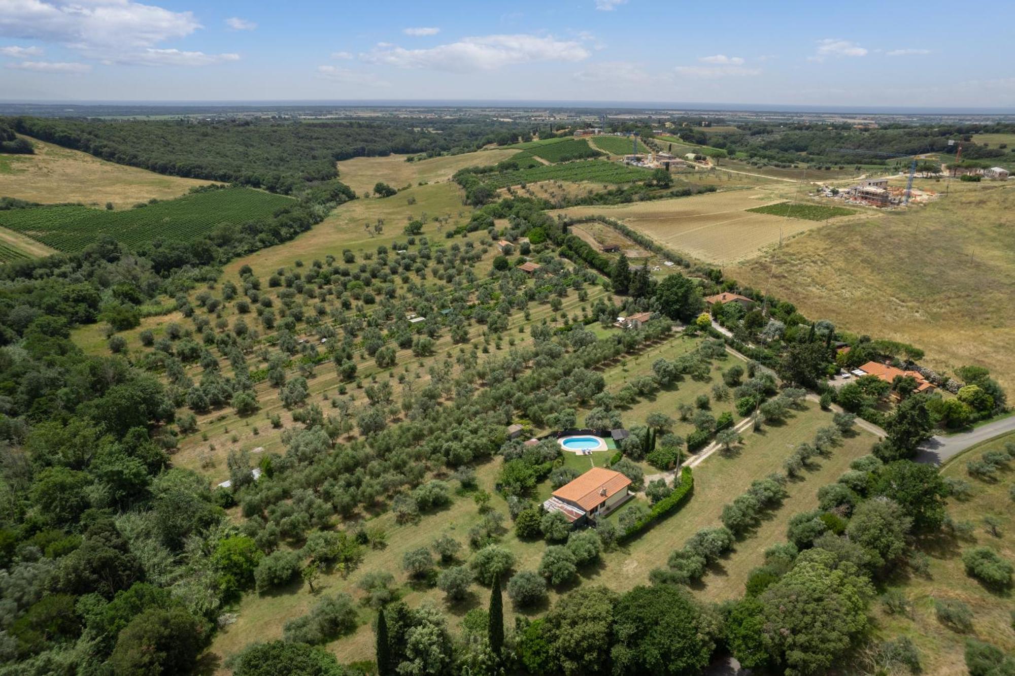 Villa Le Vigne Bibbona Esterno foto