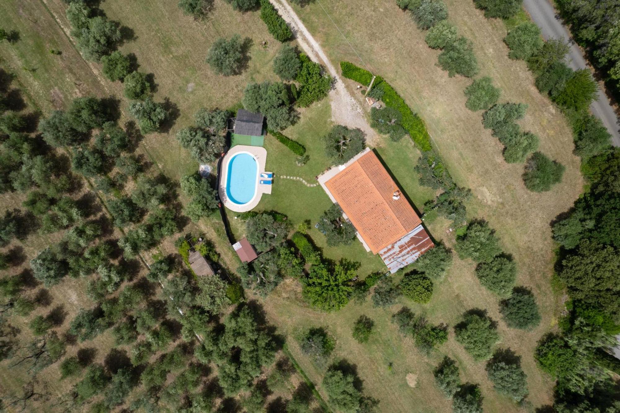 Villa Le Vigne Bibbona Esterno foto